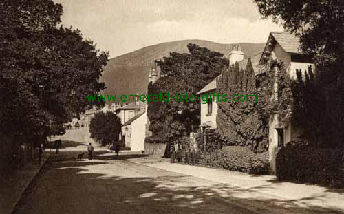 Rostrevor - Down - Street - B/W
