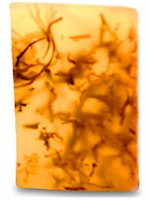 Irish Seaweed Lavender Soap 100g