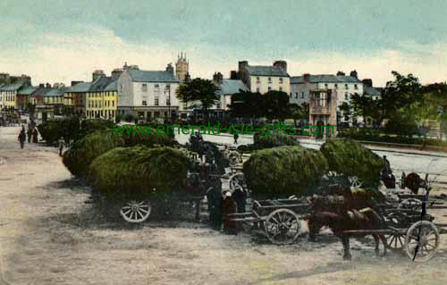 Galway Town - Market Day