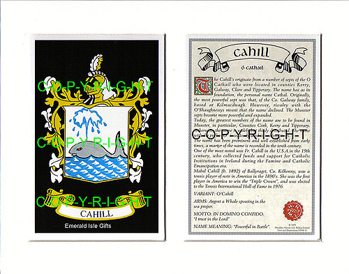 Cahill Family Crest and Name History