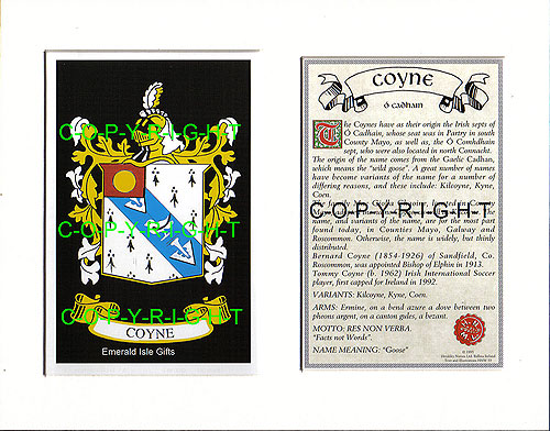 Coyne Family Crest and Name History