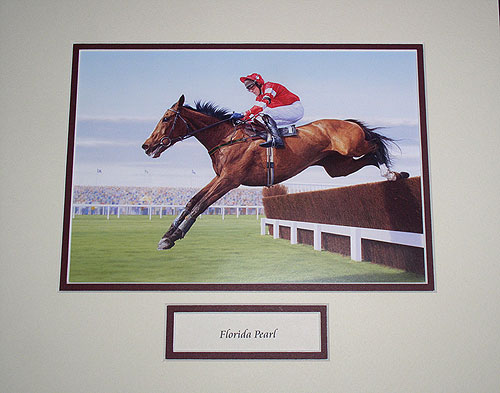 Florida Pearl Mounted Pic Florida Pearl Mounted Pic
(Prolific Irish hurdler)