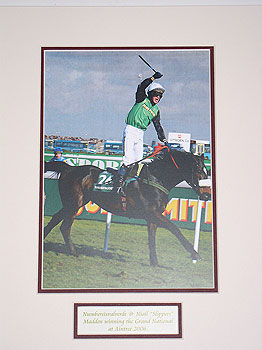 Numbersixvalverde Grand National 2006 Numbersixvalverde Grand National 2006
(jockey Niall