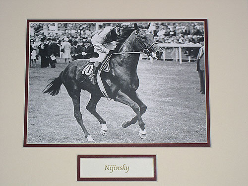 Nijinsky Black & White Pic Nijinsky Black & White Pic
(The "Horse of the Millennium")