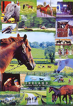 Ireland Magical Land Of Horses Poster Ireland Magical Land Of Horses Poster
(By Walter Pfeiffer)
