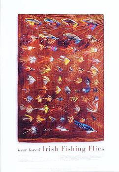 Best Loved Irish Fishing Flies Color Poster Best Loved Irish Fishing Flies Color Poster
(by Walter Pfeiffer)