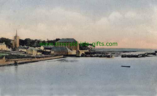 Ballina - Mayo - Salmon Fishery