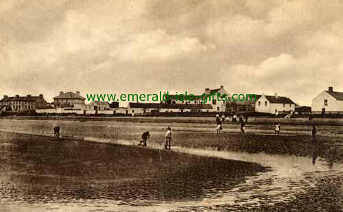 Bettystown -  Town & Beach