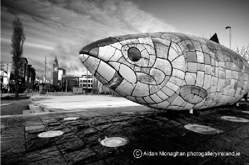 Big Fish Sculpture, Belfast Big Fish Sculpture, Belfast
(Big Fish Sculpture, Belfast)