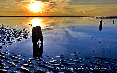 A New Day, Pilmore Strand, Co Waterford A New Day, Pilmore Strand, Co Waterford
(A New Day, Pilmore Strand)