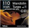 110 Irish Mandolin Tunes Vol 1 CD
(Double 2 CD Set)
