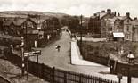 Whitehead - Armagh Chester Ave
(Elevated view)