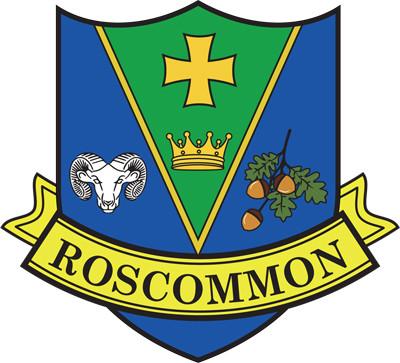 Roscommon County Car Sticker
(Blue & Yellow)