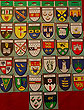 Complete Collection 32 County
(Irish Sticker Collection)