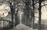 Mardyke, The - Cork City
(Tree lined avenue)