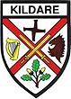 Kildare County Embroidered Badge
(Iron or Sew On)