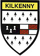 Kilkenny County Embroidered Badge
(Iron or Sew On)