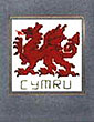 Welsh Dragon Greeting Card Kit
(by Celtic Cross Stitch)
