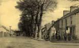 Draperstown - Derry - Cottage Row
(circa 1910)