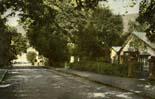 Rostrevor - Down - Town Entrance
(circa 1910)