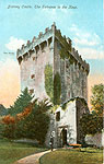 Cork - Blarney - Castle, Entrance to the Keep
(old colour Irish photo)