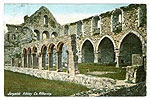 Kilkenny - Jerpoint - Jerpoint Abbey
(old colour Irish photo)
