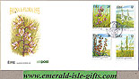 Ireland 1993 Fdc Irish Orchids First Day Cover (an Post