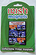 Fridge Magnet - How to Housetrain your Irish Dog