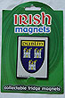 Irish Fridge Magnet - Dublin