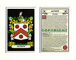Agnew Family Crest and Name History
(mounted or framed)