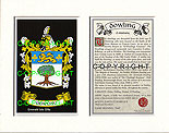 Dowling Family Crest and Name History
(mounted or framed)