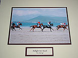 Kerry - Ballyferriter Beach
(Horses training)