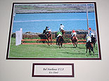 Clare - Bel Harbour Horse Racing
(Point to Point)