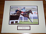 Best Mate Triple Gold Cup Winner
(Cheltenham Legend)