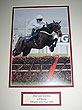 Black Jack Ketchum Mounted pic
(Tony McCoy on board)