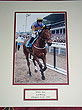 Brave Inca Champion Hurdler 2006
(Cheltenham A.P.McCoy)