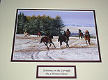 Kildare - The Curragh, Winter