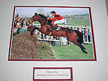 Dawn Run Horse Racings Greatest Mare
(Tony Mullins on board)