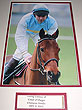Hardy Eustace Cheltenham Hurdle Champ
(Two Time Winner)