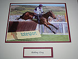 Kicking King In Action
(2005 Gold Cup Winner)