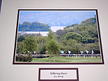 Kerry - Killarney Races
(A great summer meet)