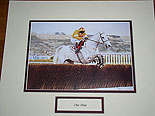 One Man Mounted Picture
(Famous Grey)