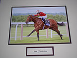 Rock Of Gibraltar Racehorse
(2002 Horse of the Year)