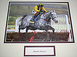Rooster Booster Cheltenham
(Champion Hurdler 2003)