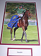 Sinndar Flat Racing Hero
(Triple Crown 2000)