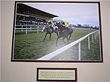 Beef Or Salmon & The Listener
(Hennessy Gold Cup 2007)