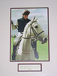 Desert Orchid 
