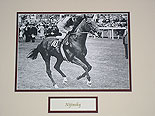 Nijinsky Black & White Pic
(The "Horse of the Millennium")