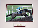 Denman & Ruby Walsh
(Stablemate &  rival to Kauto Star)
