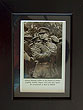 Irish Rebel Patriot Michael Collins
(Framed Miniature Picture)